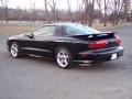 Black - Firebird Trans Am Coupe Photo No. 11