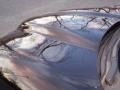 1999 Black Pontiac Firebird Trans Am Coupe  photo #23