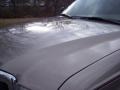 Arizona Beige Metallic - F350 Super Duty XLT SuperCab Photo No. 17