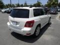 Arctic White - GLK 350 Photo No. 13