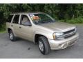 Sandstone Metallic - TrailBlazer LS 4x4 Photo No. 3
