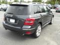 Steel Grey Metallic - GLK 350 Photo No. 15