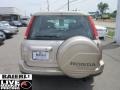 2001 Naples Gold Metallic Honda CR-V Special Edition 4WD  photo #5