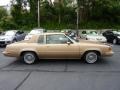  1987 Cutlass Supreme Coupe Sungold Metallic