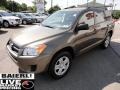 Pyrite Metallic - RAV4 I4 4WD Photo No. 2