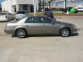 2010 Grey Flannel Cadillac DTS   photo #6