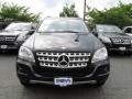 Black - ML 350 4Matic Photo No. 2