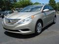 Camel Pearl - Sonata GLS Photo No. 1