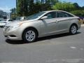 Camel Pearl - Sonata GLS Photo No. 2
