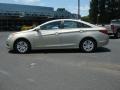 Camel Pearl - Sonata GLS Photo No. 3