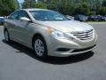 Camel Pearl - Sonata GLS Photo No. 7