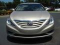 Camel Pearl - Sonata GLS Photo No. 8