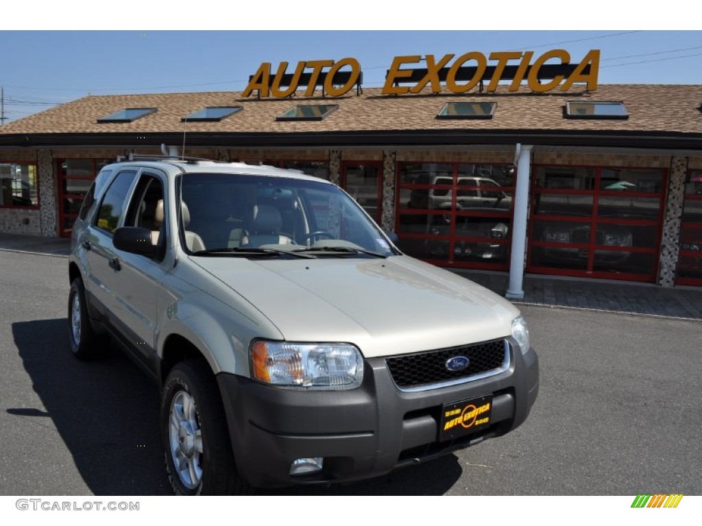 2003 Escape XLT V6 4WD - Gold Ash Metallic / Medium Dark Pebble photo #2