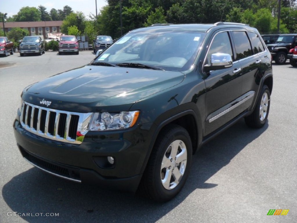 2011 Grand Cherokee Limited - Natural Green Pearl / Black/Light Frost Beige photo #1