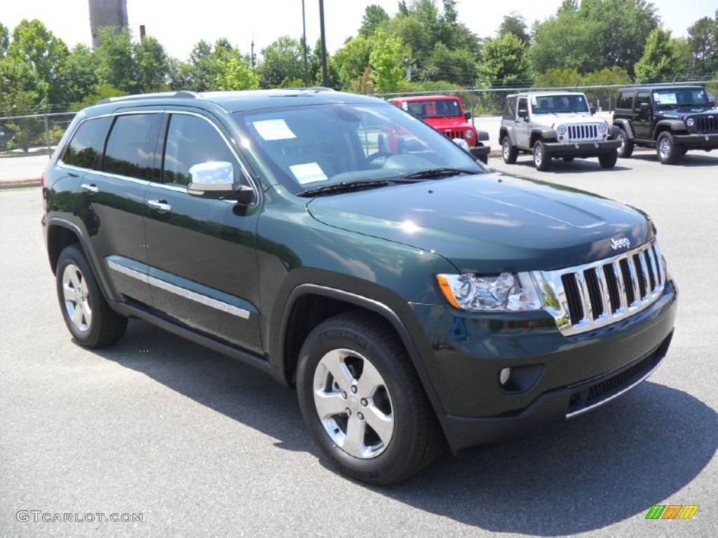 2011 Grand Cherokee Limited - Natural Green Pearl / Black/Light Frost Beige photo #6