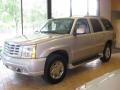 Quicksilver - Escalade AWD Photo No. 3