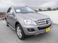 Palladium Silver Metallic - ML 350 Photo No. 1