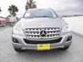Palladium Silver Metallic - ML 350 Photo No. 2