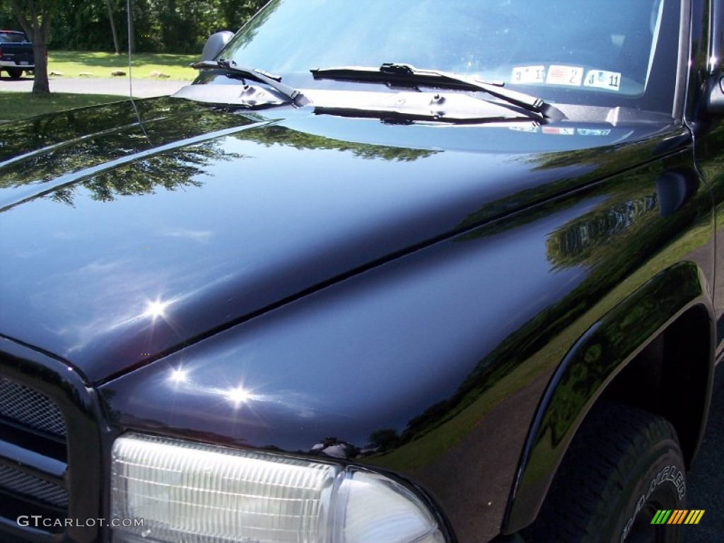 2003 Dakota Sport Club Cab 4x4 - Black / Dark Slate Gray photo #13