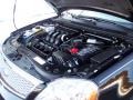 2007 Black Ford Five Hundred SEL AWD  photo #52
