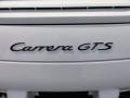  2012 911 Carrera GTS Coupe Logo