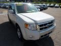 2009 White Suede Ford Escape Limited V6 4WD  photo #6