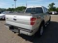 Brilliant Silver Metallic - F150 Lariat SuperCrew 4x4 Photo No. 4