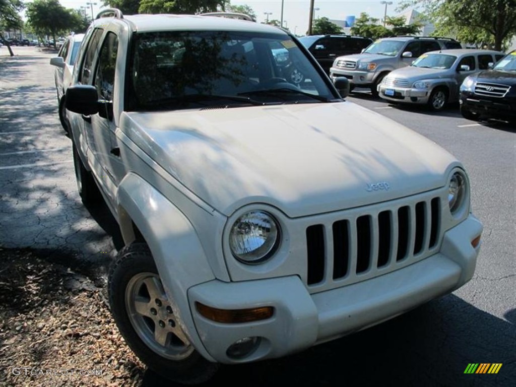 2004 Liberty Limited - Stone White / Taupe photo #1