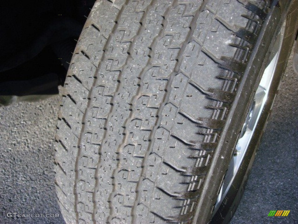 2004 4Runner SR5 - Stratosphere Mica / Taupe photo #22