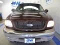 2002 Toreador Red Metallic Ford F150 XLT SuperCrew 4x4  photo #7
