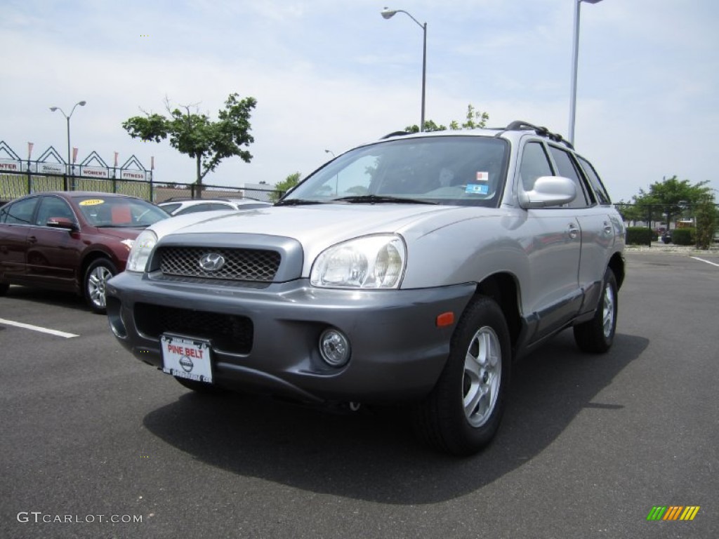 2004 Santa Fe LX - Pewter / Gray photo #1