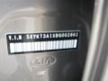 Titanium Silver - Sorento LX Photo No. 21