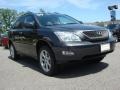 Smokey Granite - RX 350 AWD Photo No. 1