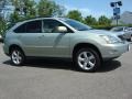 Bamboo Green Pearl - RX 350 AWD Photo No. 2