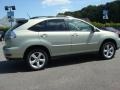 Bamboo Green Pearl - RX 350 AWD Photo No. 3