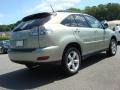Bamboo Green Pearl - RX 350 AWD Photo No. 4