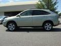 Bamboo Green Pearl - RX 350 AWD Photo No. 6