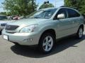Bamboo Green Pearl - RX 350 AWD Photo No. 7