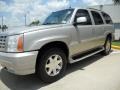 Quicksilver - Escalade AWD Photo No. 3