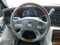 Quicksilver - Escalade AWD Photo No. 21