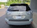 Bamboo Pearl - RX 350 AWD Photo No. 4