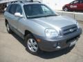 Pewter - Santa Fe Limited 4WD Photo No. 1