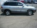 Pewter - Santa Fe Limited 4WD Photo No. 5