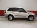 Titanium Metallic - RAV4  Photo No. 2