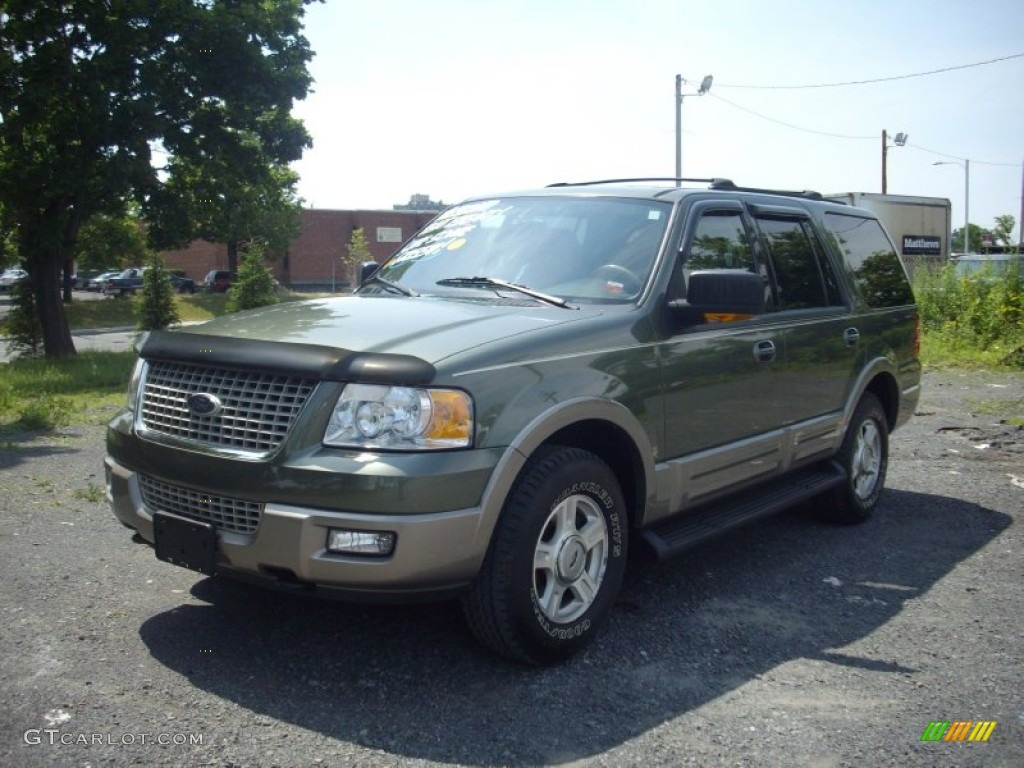 2003 Expedition Eddie Bauer 4x4 - Estate Green Metallic / Medium Parchment photo #1