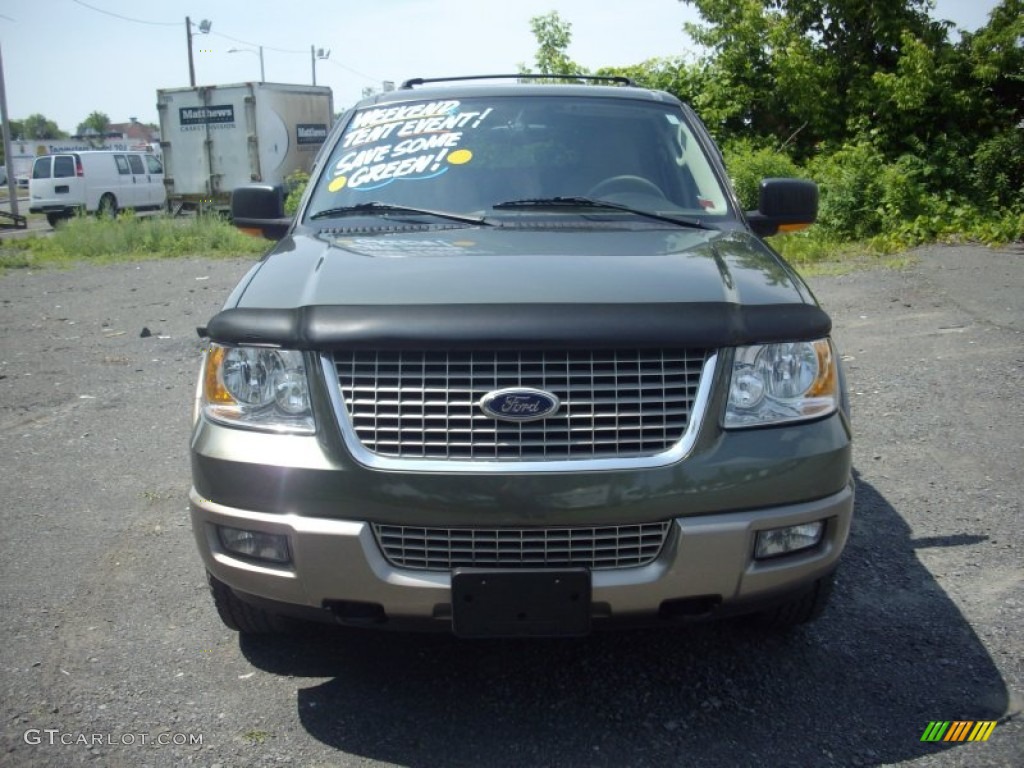 2003 Expedition Eddie Bauer 4x4 - Estate Green Metallic / Medium Parchment photo #2
