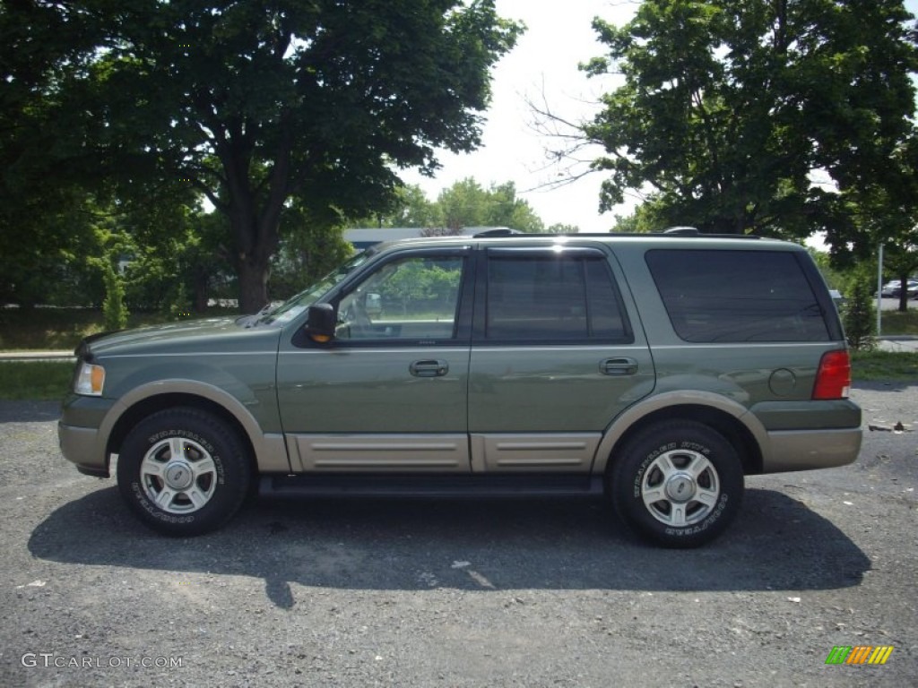 2003 Expedition Eddie Bauer 4x4 - Estate Green Metallic / Medium Parchment photo #3