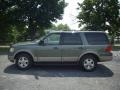 2003 Estate Green Metallic Ford Expedition Eddie Bauer 4x4  photo #3