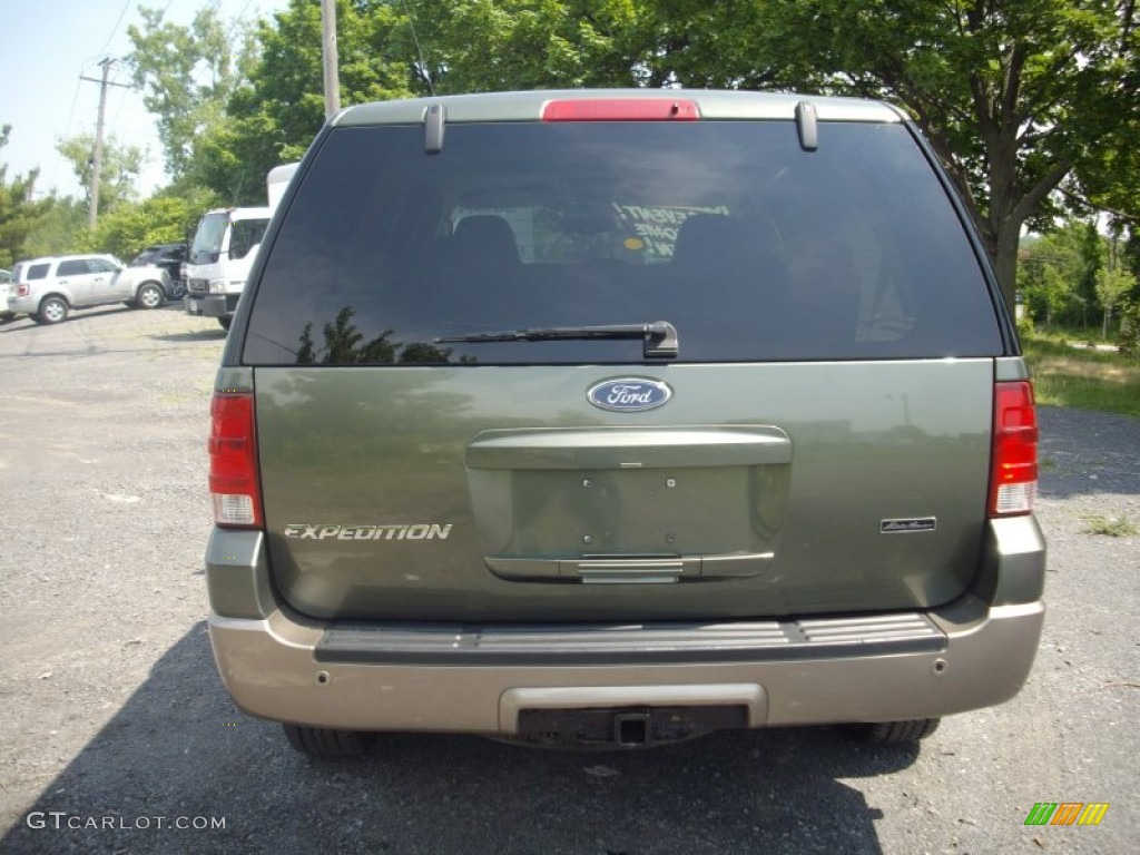 2003 Expedition Eddie Bauer 4x4 - Estate Green Metallic / Medium Parchment photo #5
