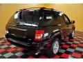 2004 Brillant Black Crystal Pearl Jeep Grand Cherokee Limited 4x4  photo #4